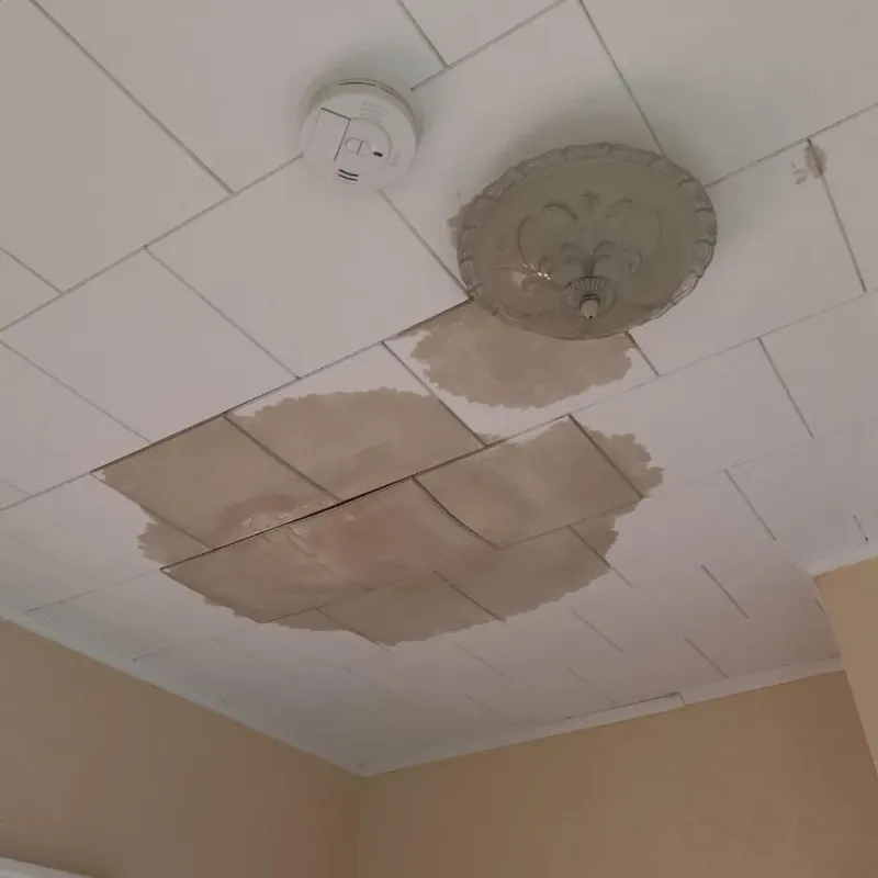 Ceiling Water Damage Repair in Mendocino County, CA
