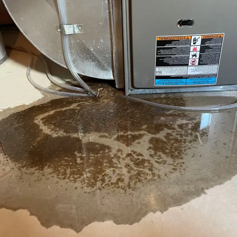 Pipe Burst and Leak Restoration in Mendocino County, CA