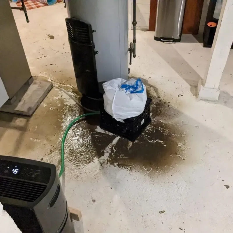 Sewage Backup Cleanup Service in Mendocino County, CA